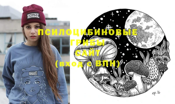 прущие крисы Каменногорск