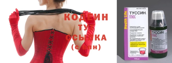 прущие крисы Каменногорск