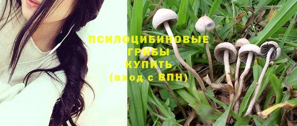 mdpv Каменка
