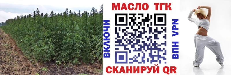 Купить закладки  Камызяк  Дистиллят ТГК вейп 