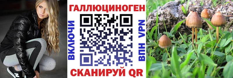 Купить закладки  Камызяк  Галлюциногенные грибы мицелий 